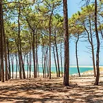 2 Bedroom Gorgeous In Holiday home Lege-Cap-Ferret